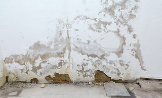 Abblätternde Wand mit großflächigen Feuchte- und Putzschäden.